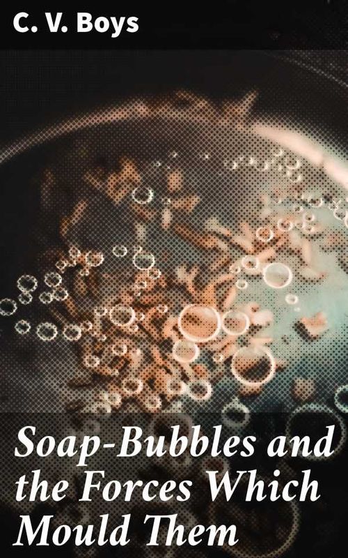 SoapBubbles and the Forces Which Mould Them