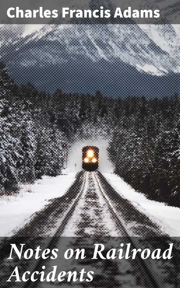 bw-notes-on-railroad-accidents-good-press-4057664591241