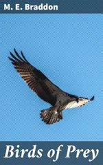 bw-birds-of-prey-good-press-4057664587701