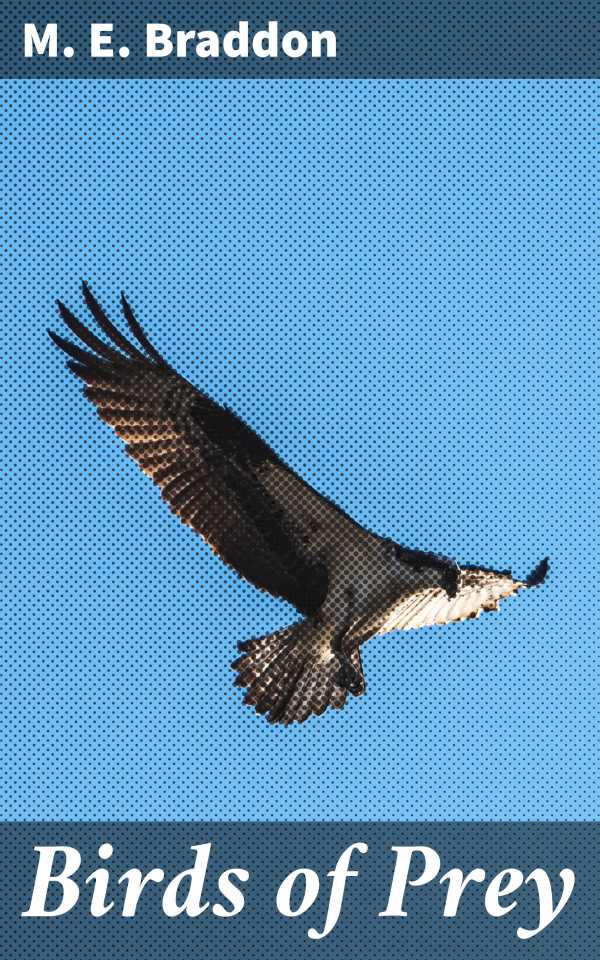 bw-birds-of-prey-good-press-4057664587701