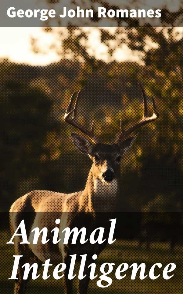 bw-animal-intelligence-good-press-4057664608390