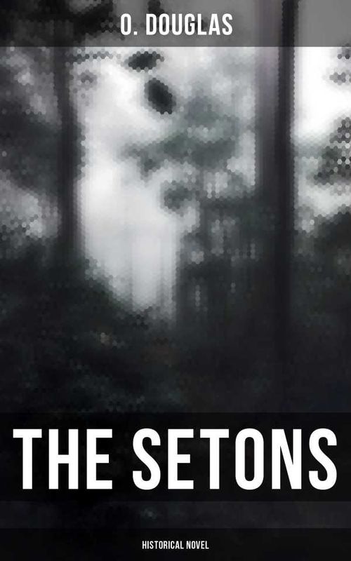 The Setons Historical Novel