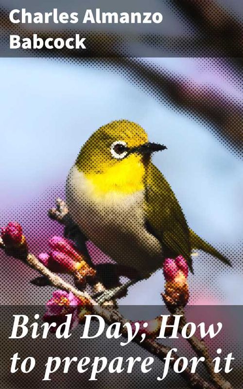 Bird Day How to prepare for it