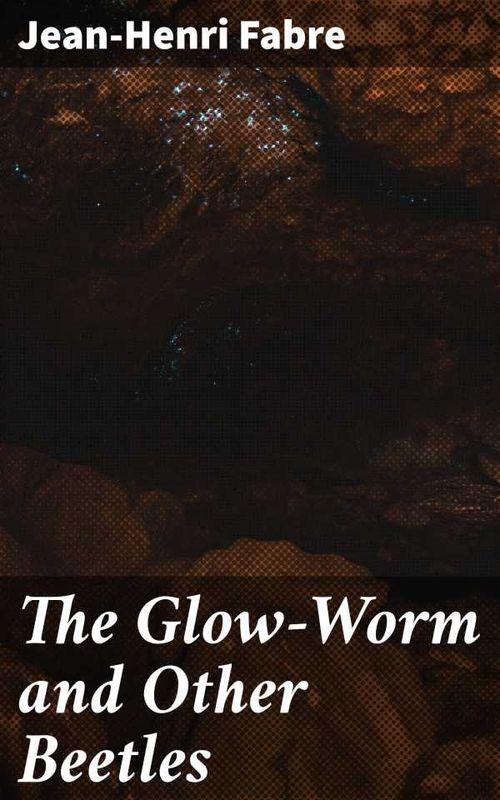The GlowWorm and Other Beetles