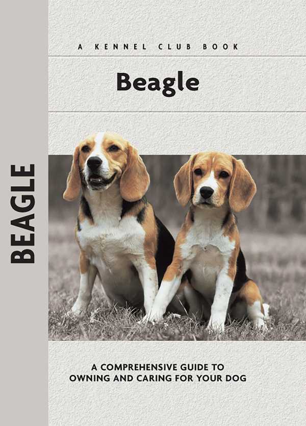 bw-beagle-companionhouse-books-9781593788728