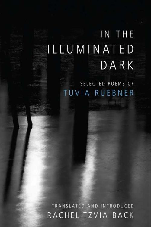 In the Illuminated Dark