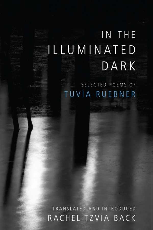 bw-in-the-illuminated-dark-hebrew-union-college-press-9780822980483