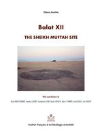 bw-balat-xii-ifao-9782724708264