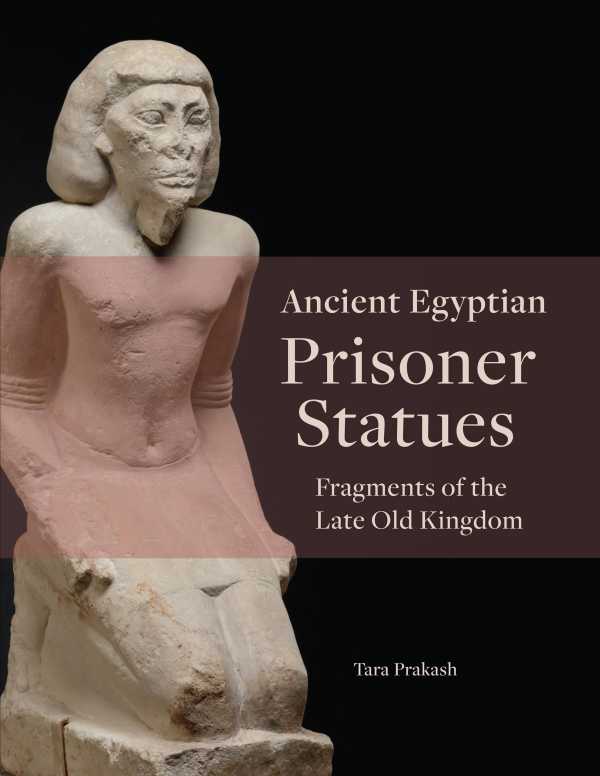 bw-ancient-egyptian-prisoner-statues-lockwood-press-9781948488884