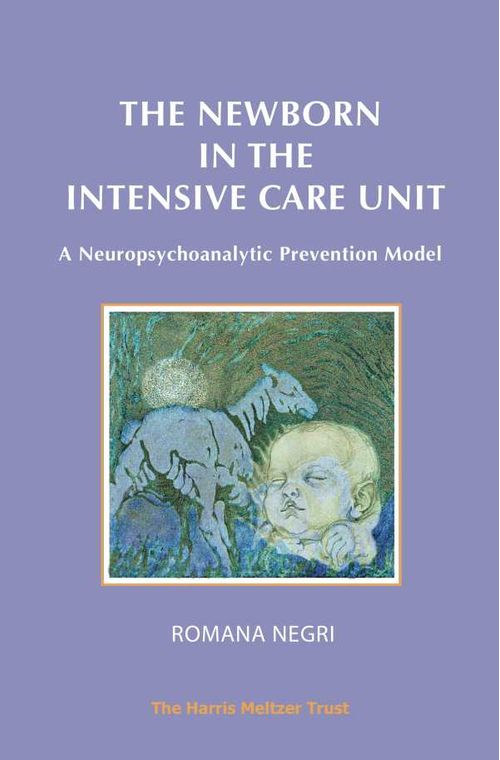 The Newborn in the Intensive Care Unit