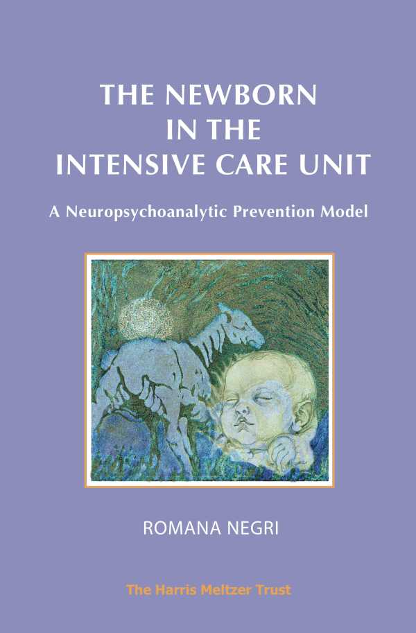 bw-the-newborn-in-the-intensive-care-unit-karnac-books-9781912567324