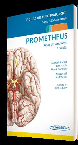 PROMETHEUS ATLAS DE ANATOMIA FICHAS DE AUTOEVALUACION