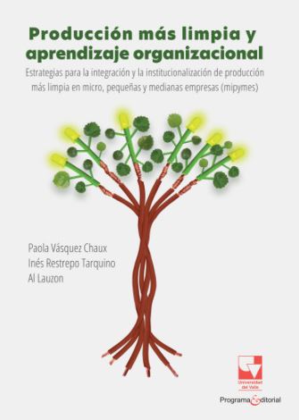 Producción más limpia y aprendizaje organizacional