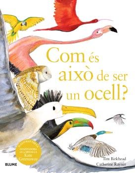 COM ES AIXO DE SER UN OCELL