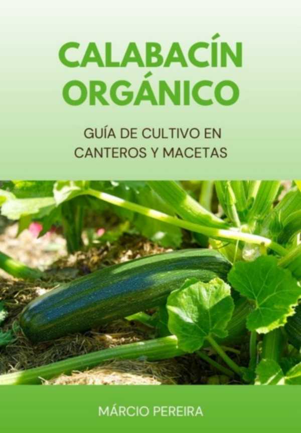 bw-calabaciacuten-orgaacutenico-clube-de-autores-3410006367361