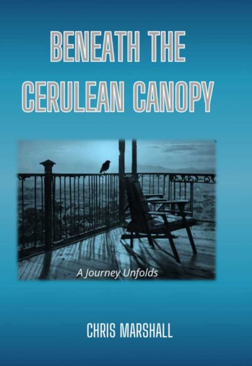 Beneath The Cerulean Canopy