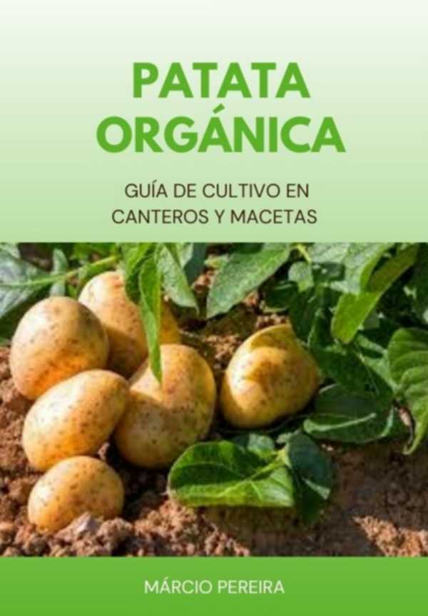 bw-patata-orgaacutenica-clube-de-autores-3410006392011