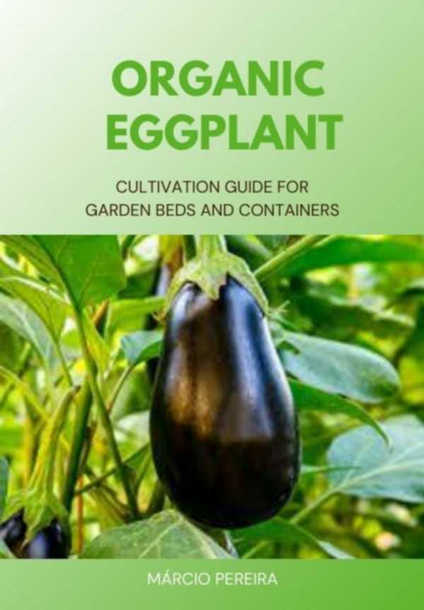 bw-organic-eggplant-clube-de-autores-3410006722108