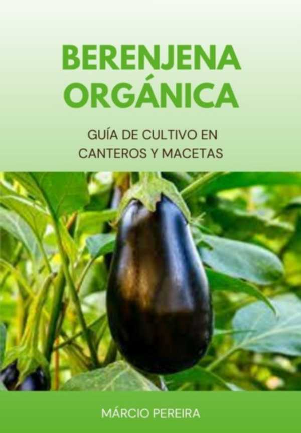 bw-berenjena-orgaacutenica-clube-de-autores-3410006362908