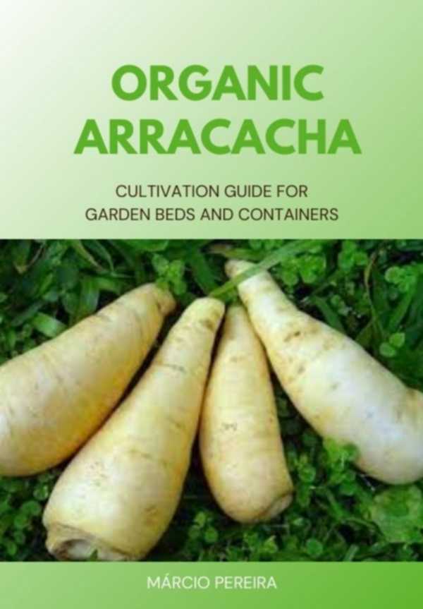 bw-organic-arracacha-clube-de-autores-3410006481388