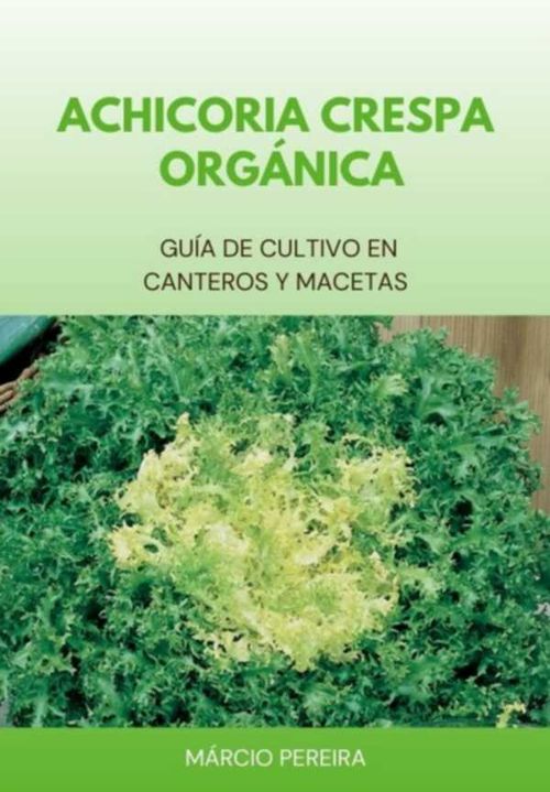 Achicoria Crespa Orgánica