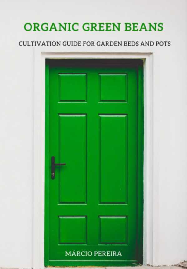bw-organic-green-beans-clube-de-autores-3410006734484