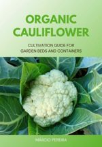 bw-organic-cauliflower-clube-de-autores-3410006613994
