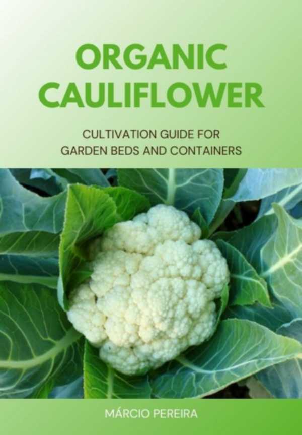 bw-organic-cauliflower-clube-de-autores-3410006613994