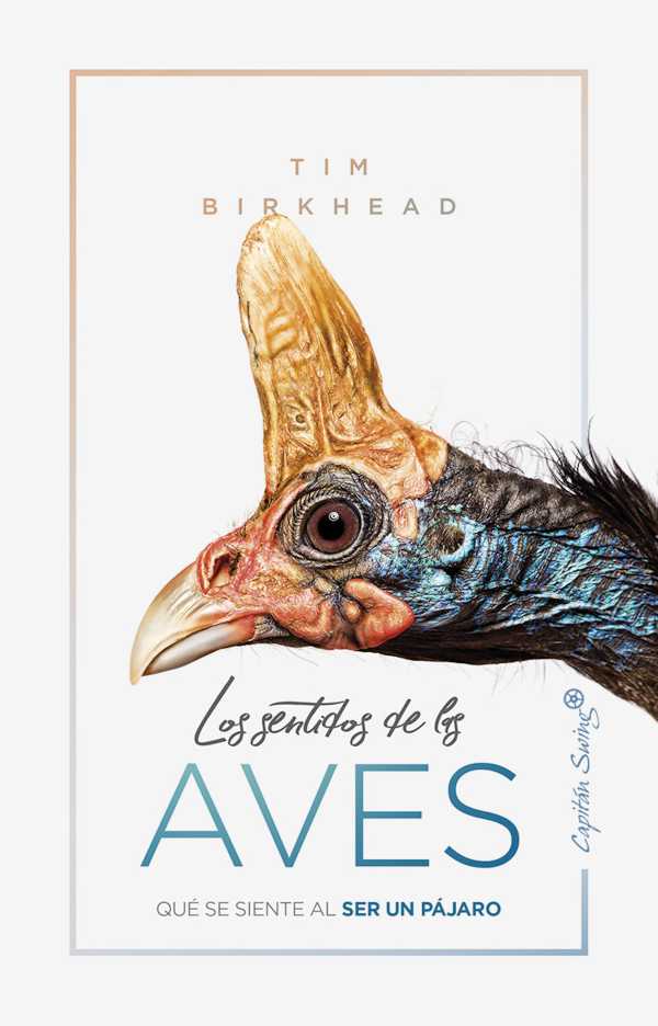 bw-los-sentidos-de-las-aves-capitn-swing-libros-9788412099331