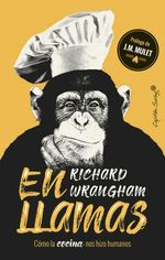 bw-en-llamas-capitn-swing-libros-9788412042627