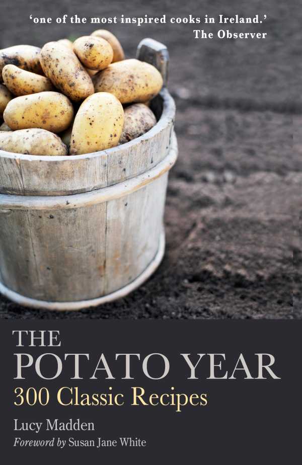 bw-the-potato-year-mercier-press-9781781173114