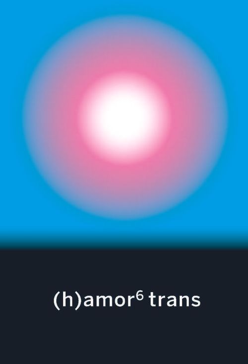 hamor 6 trans