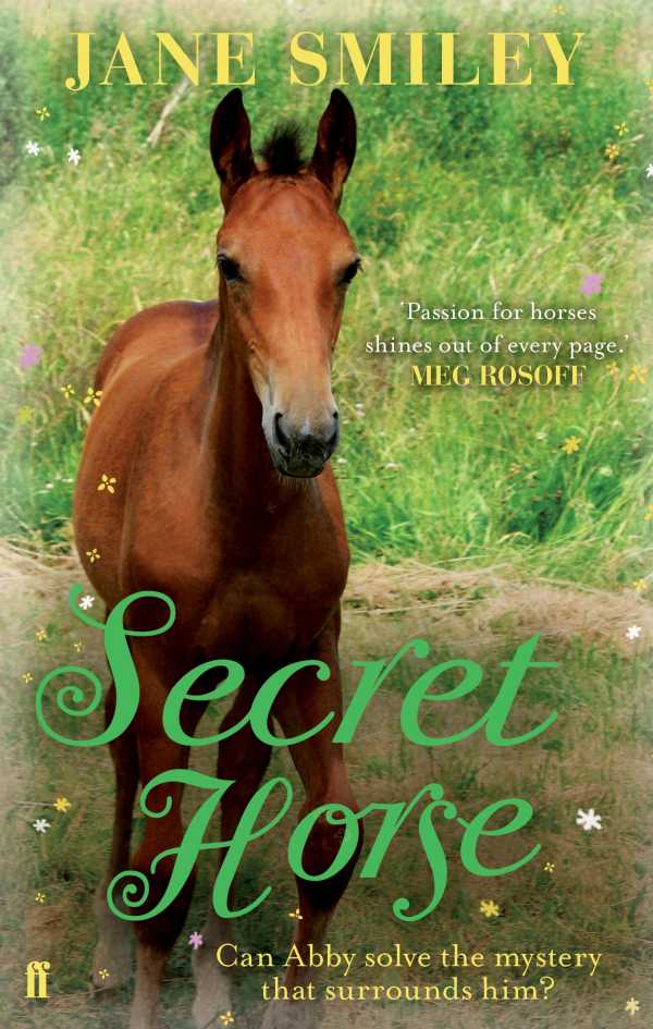 bw-secret-horse-faber-faber-9780571274482