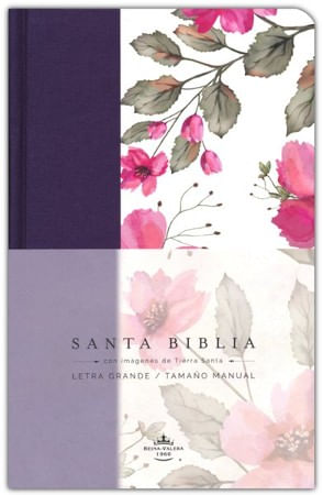 Santa biblia