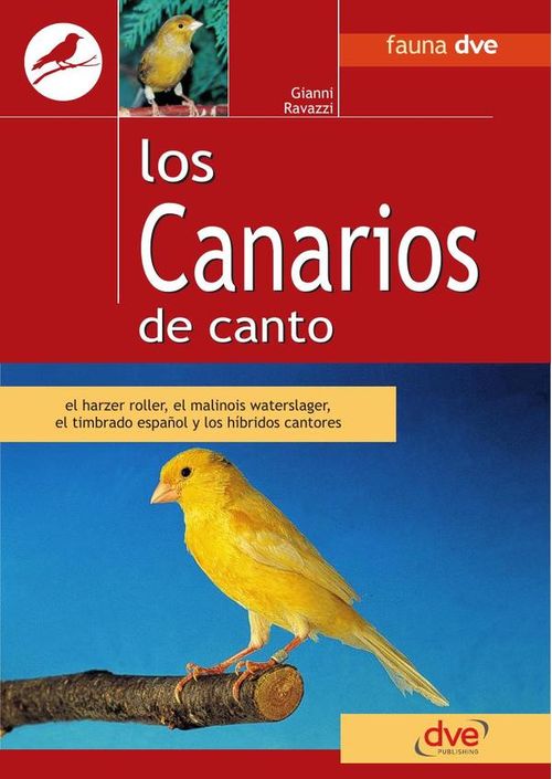 Los canarios de canto
