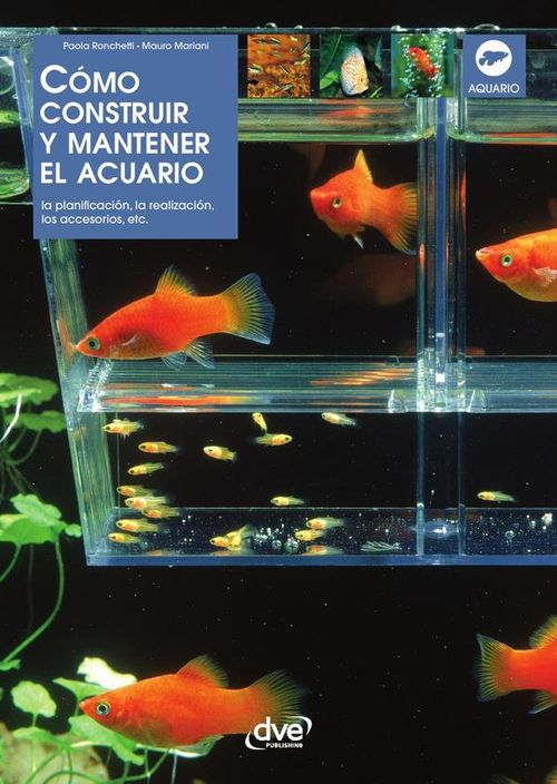 Como construir y mantener el acuario