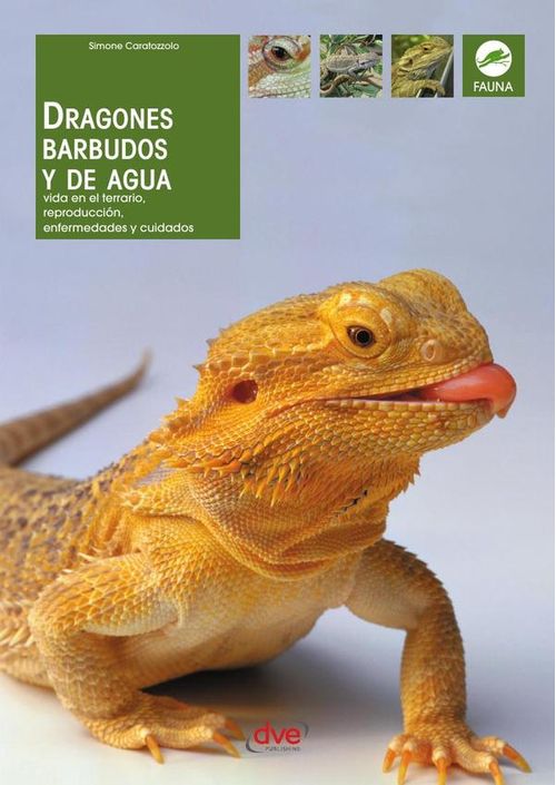 Dragones barbudos y de agua