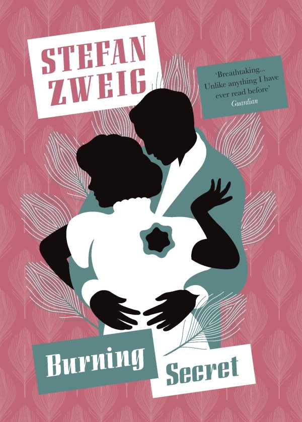 bw-burning-secret-pushkin-press-9781906548551