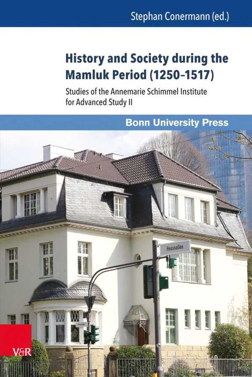 History and Society during the Mamluk Period 12501517