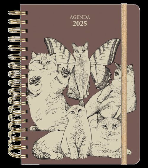 AGENDA ANUAL SEMANAL 2025 LAURA AGUSTI
