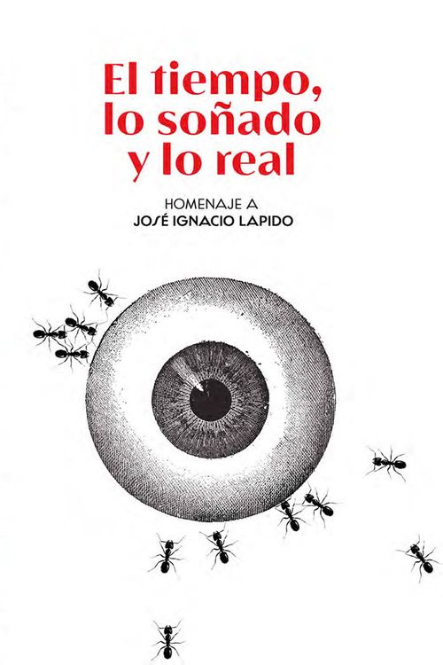 EL TIEMPO LO SONADO Y LO REAL