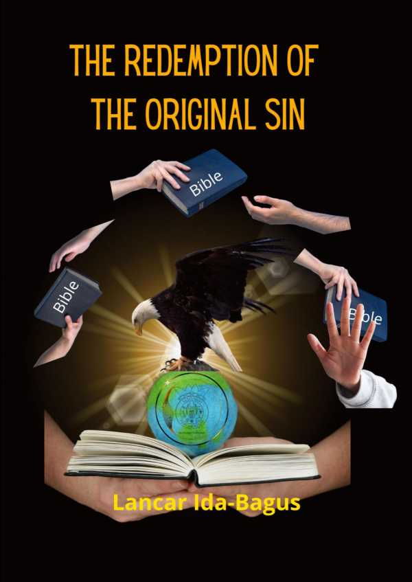 bw-the-redemption-of-the-original-sin-mijnbestsellernl-9789462543812
