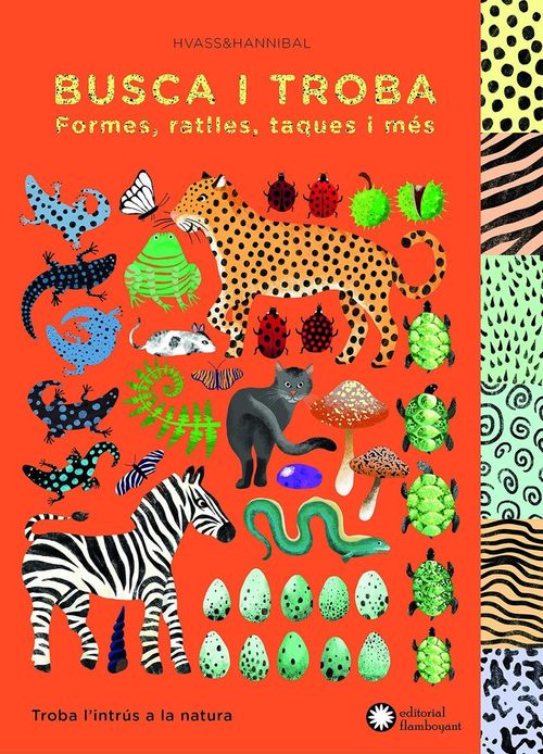 Busca i troba formes ratlles taques i mes