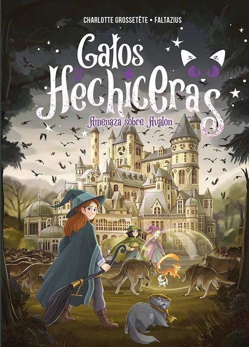 Gatos y hechiceras - VOL II