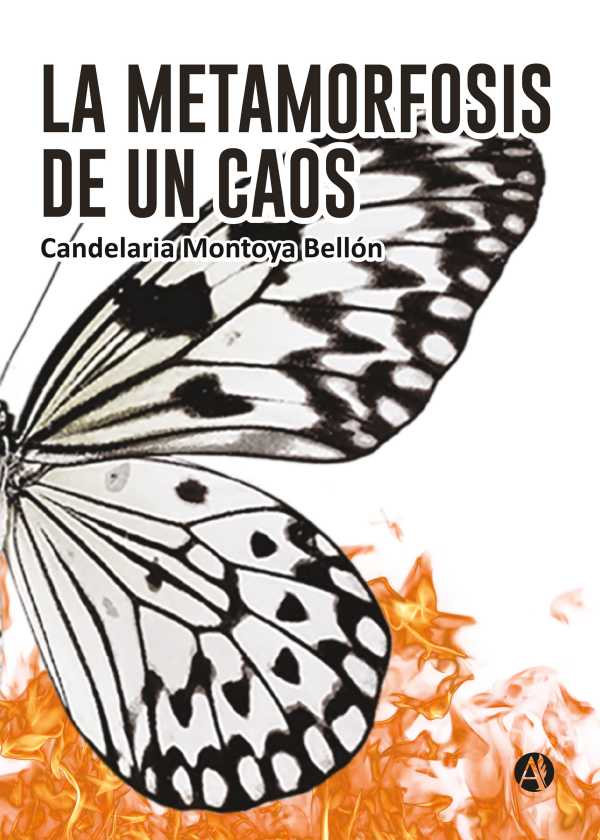 bw-metamorfosis-de-un-caos-editorial-autores-de-argentina-9789878760322