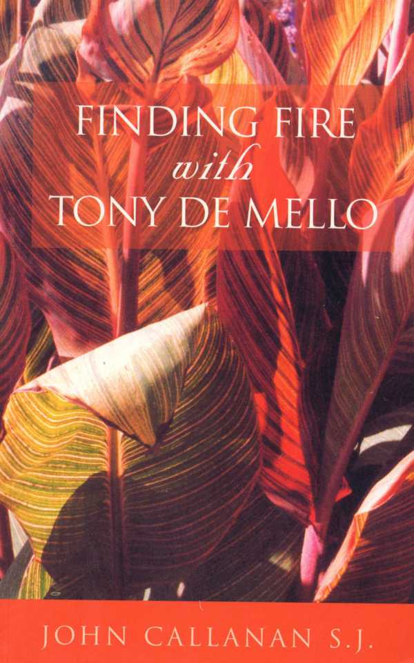 bw-finding-fire-with-tony-de-mello-mercier-press-9781856358545