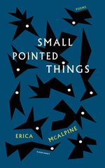 bw-small-pointed-things-carcanet-poetry-9781800174788