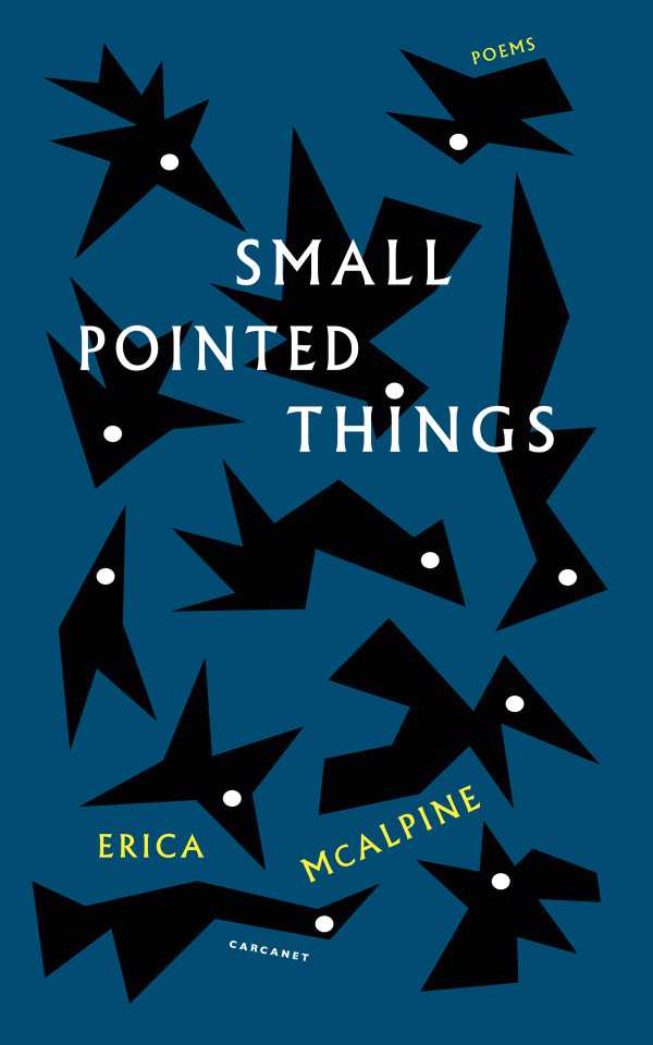 bw-small-pointed-things-carcanet-poetry-9781800174788