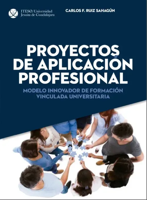 Proyectos de Aplicacion Profesional