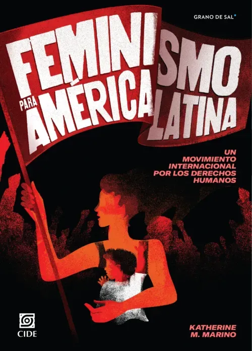 Feminismo para America Latina